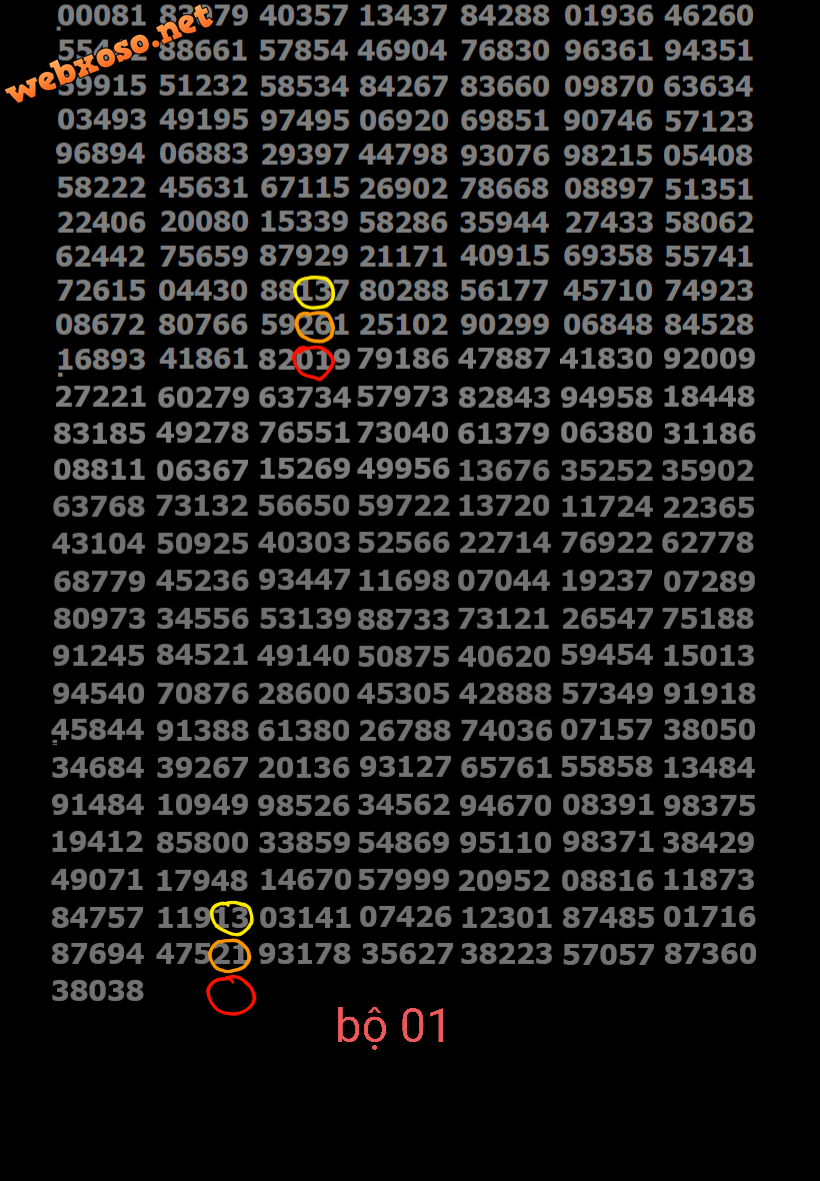 ĐB-12 (1).png