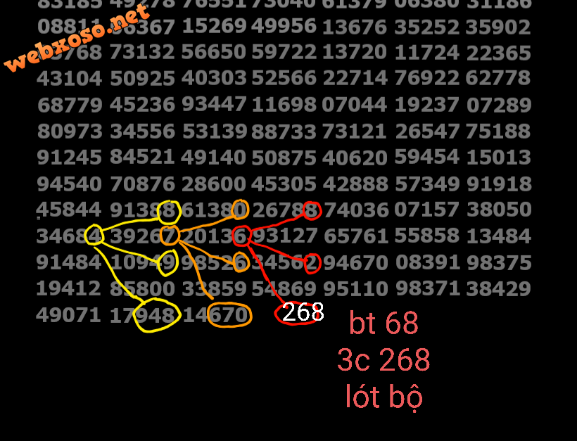 ĐB-23.png