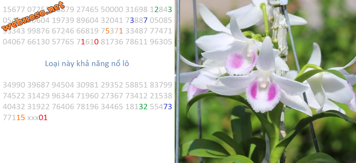 01.png