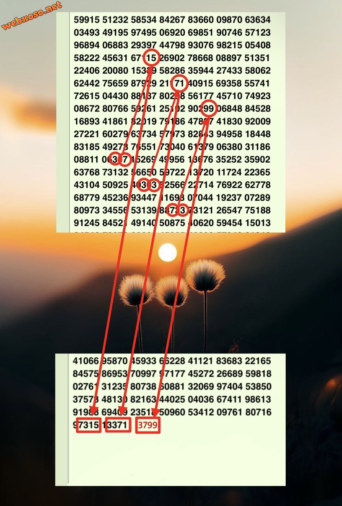01B33502-B86C-439E-BF26-BD4DD0AC4618.jpeg