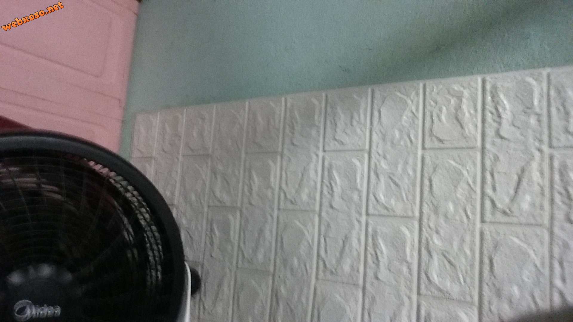 1598451825532-2099825845.jpg