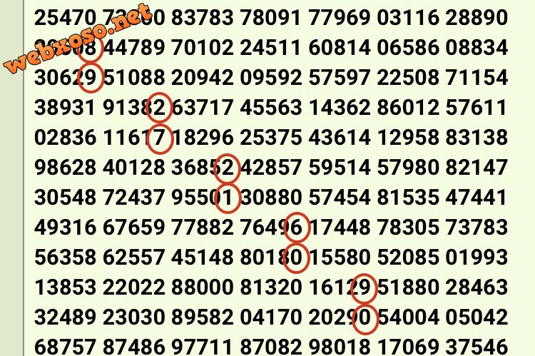 1CB496B5-9454-4E2E-9757-9F369DE13D37.jpeg