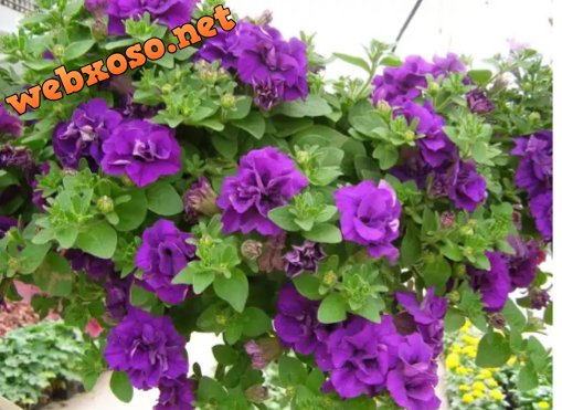 20190927_115358.jpg