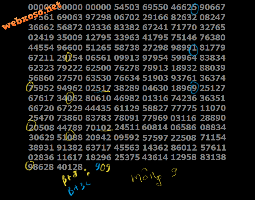 20200812_160546.png