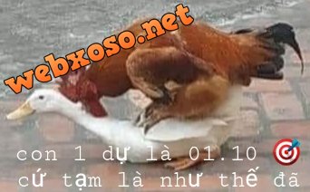 20230213_192521.jpg