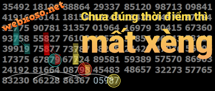 20230330_123248.png