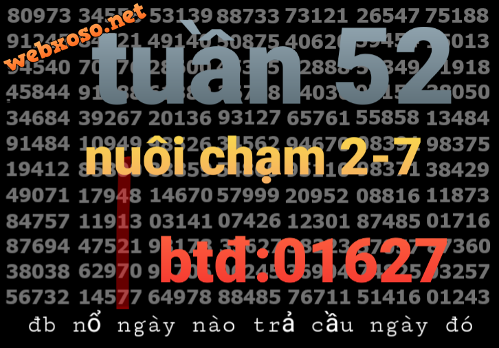 20231225_163744.png