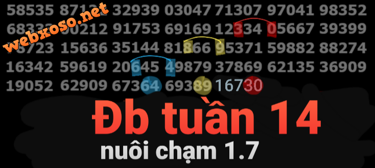 20240405_174124.png