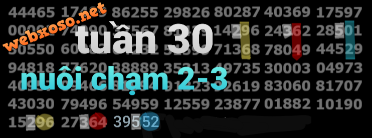 20240724_174749.png