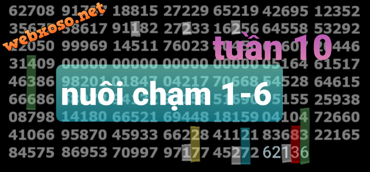 20250308_172759.png