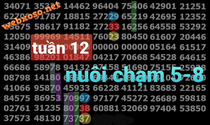 20250319_173109.png