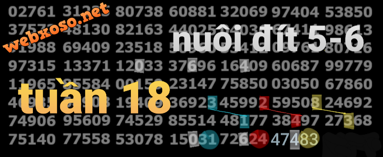 20250503_173203.png