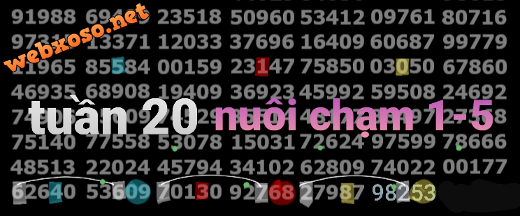 20250516_203632.png