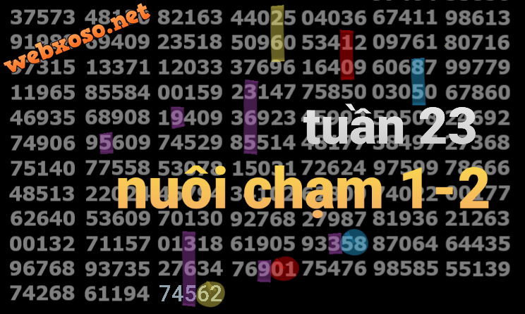 20250604_165316.png