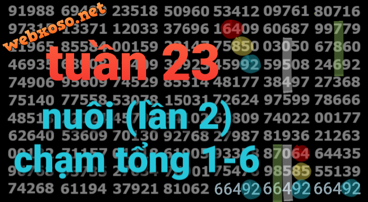 20250606_132430.png