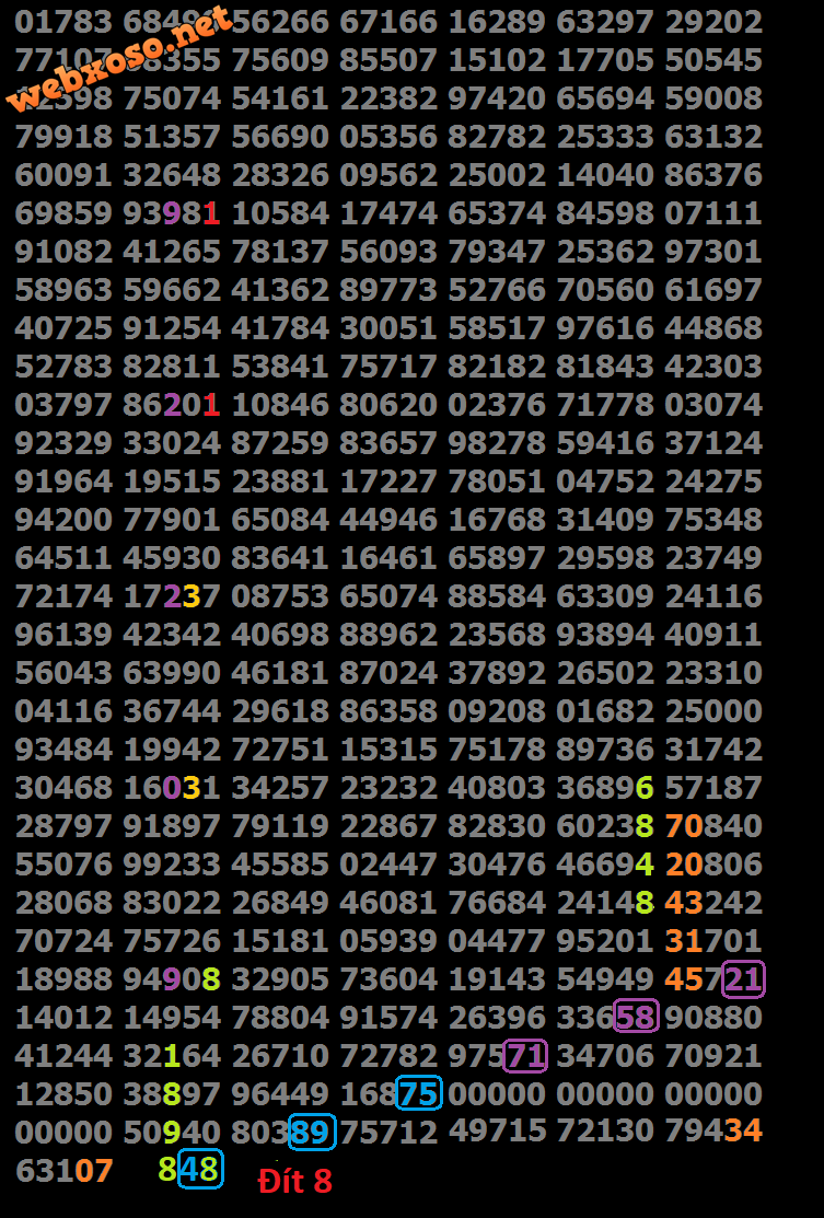 232323.png