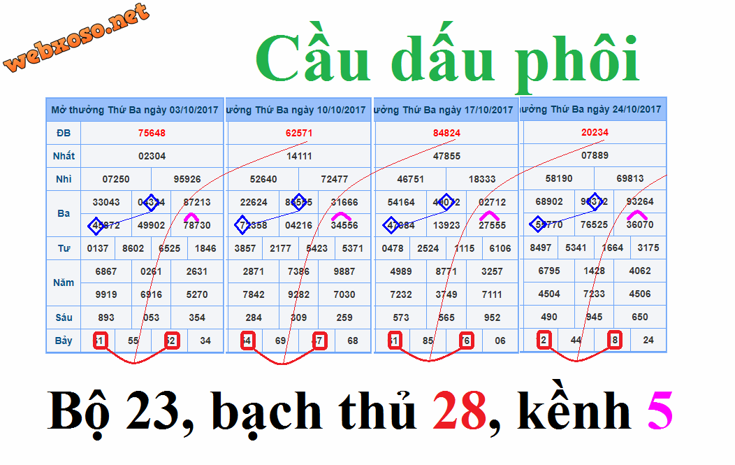 3110-w.png