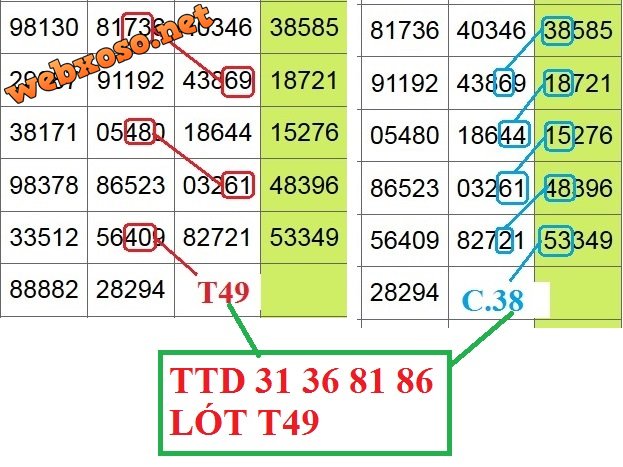 3136.jpg