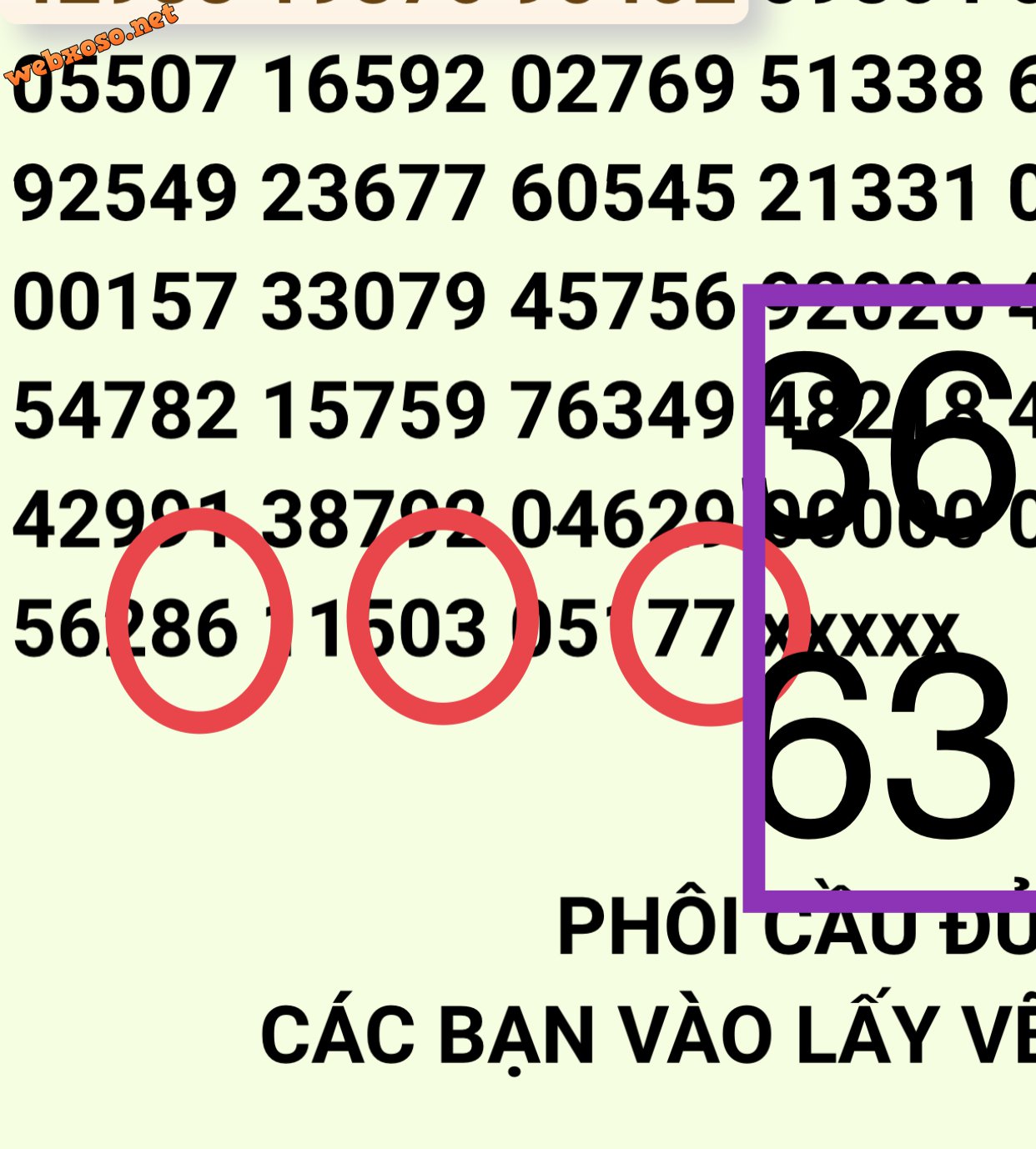 7FE8CCFA-9167-4674-BB81-39D03398E9F2.jpeg