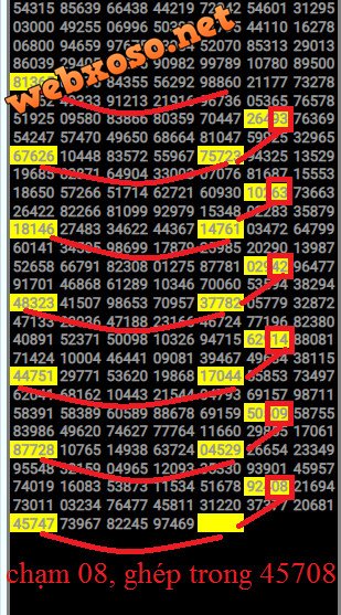 8101.jpg