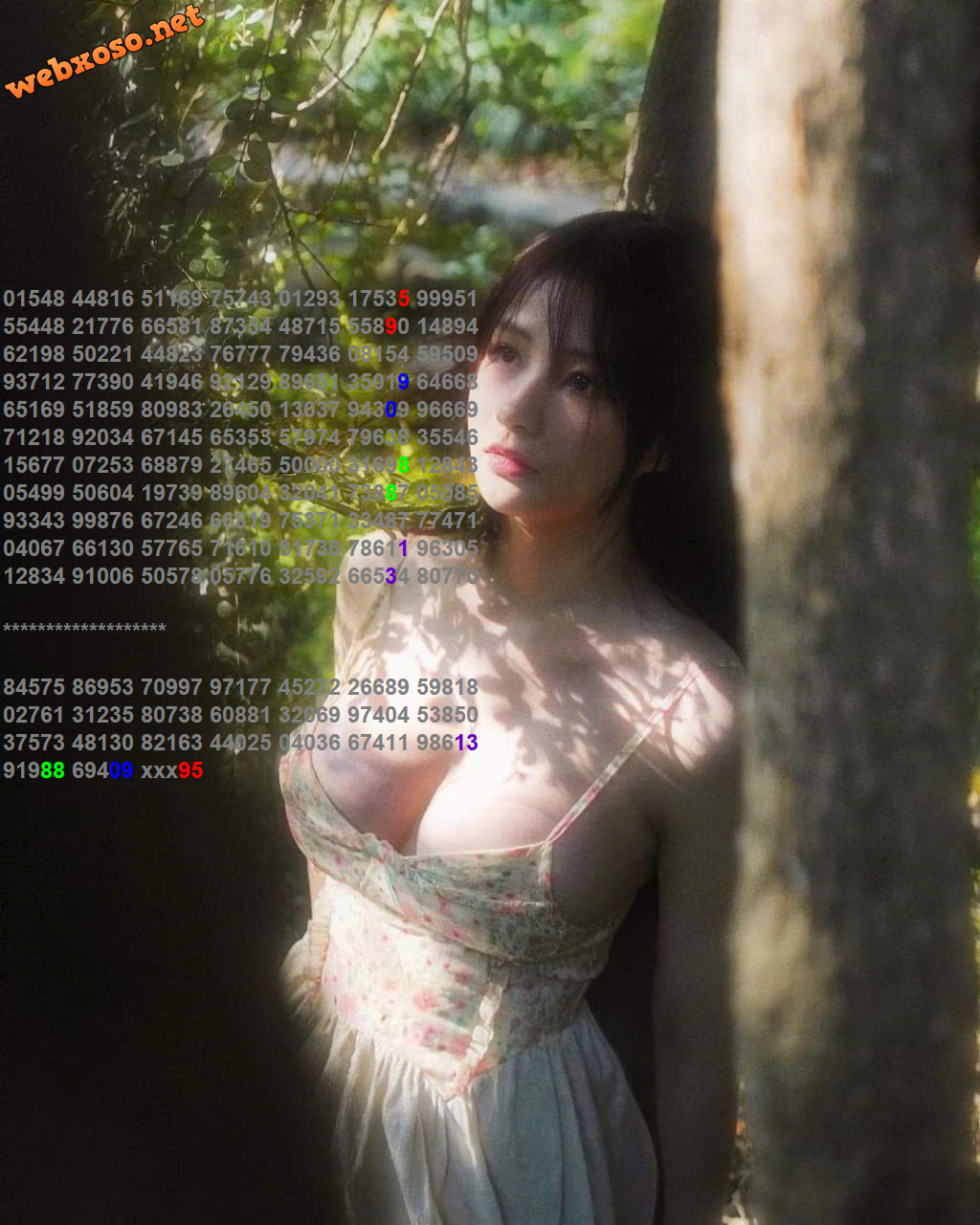 95.png