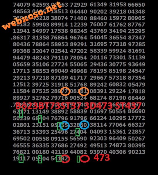 a31195a8e8b72de974a6.jpg