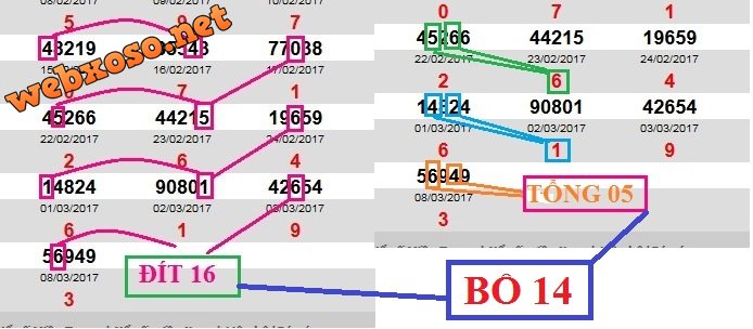 BO 14.jpg