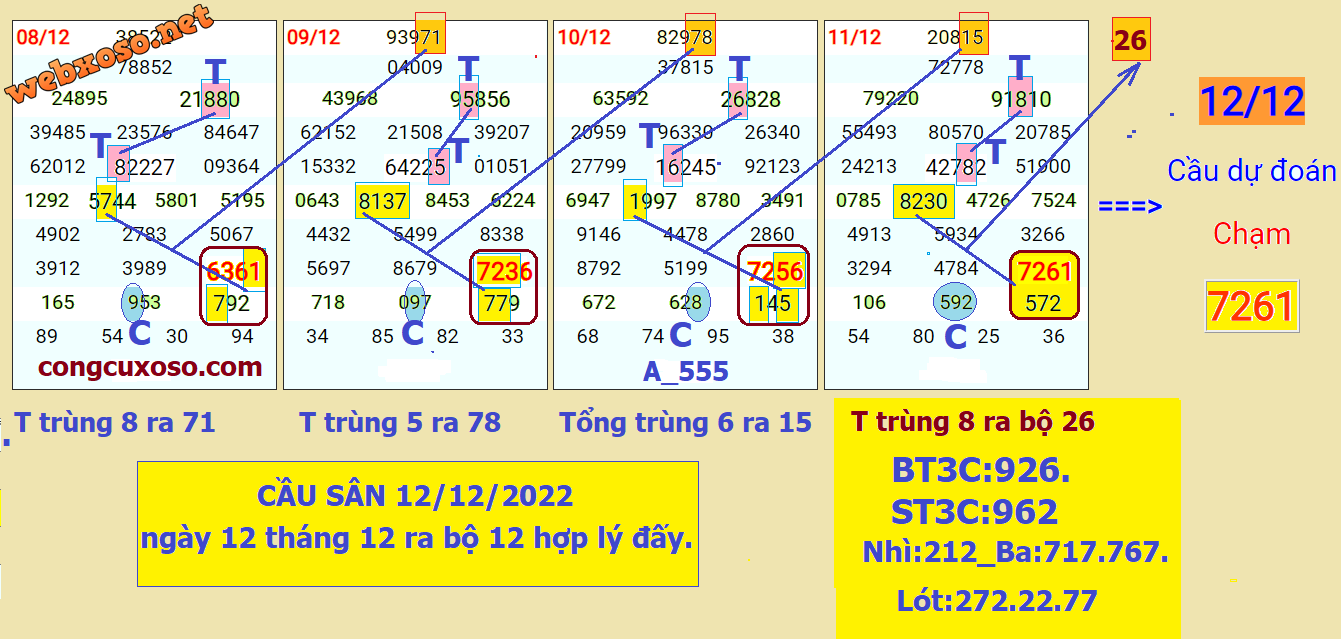 CAU SAN-12.png