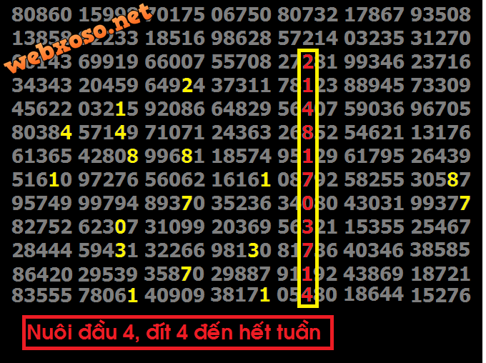 Cau tuan.png