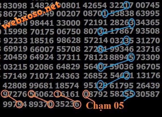 cham 05.jpg
