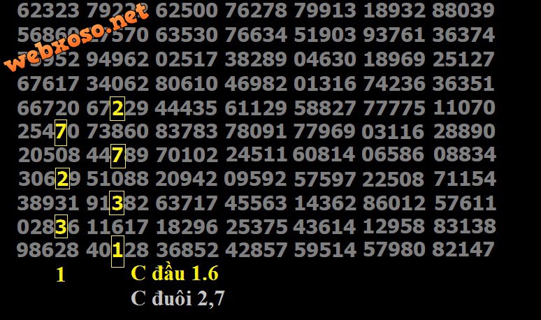 dau16.jpg