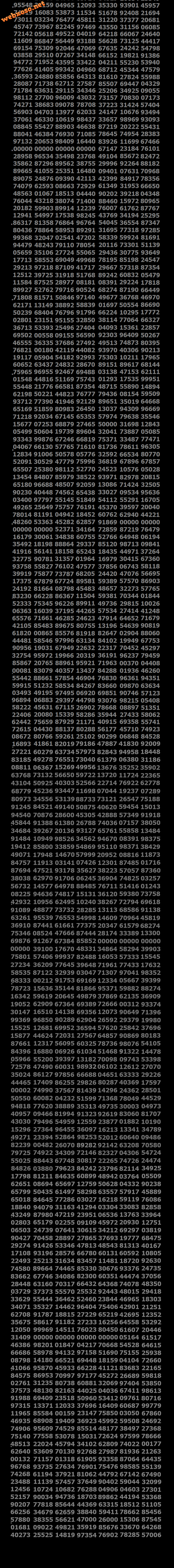 DB-04.png