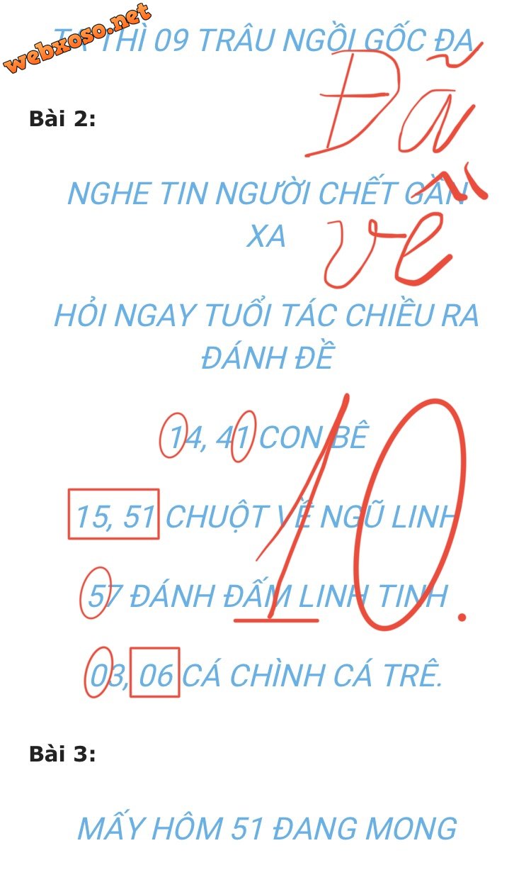 EC226F4C-0F6F-4A30-B437-37BAA7C84161.jpeg