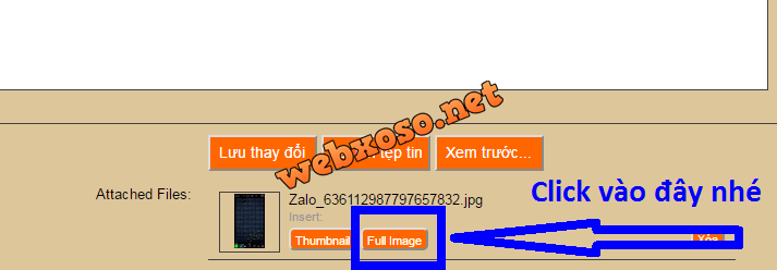 HienAnh.png