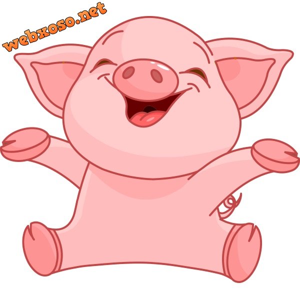 image.jpg