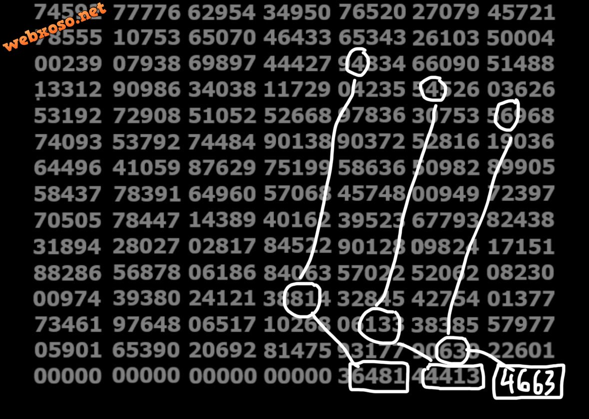 IMG_6804.jpeg