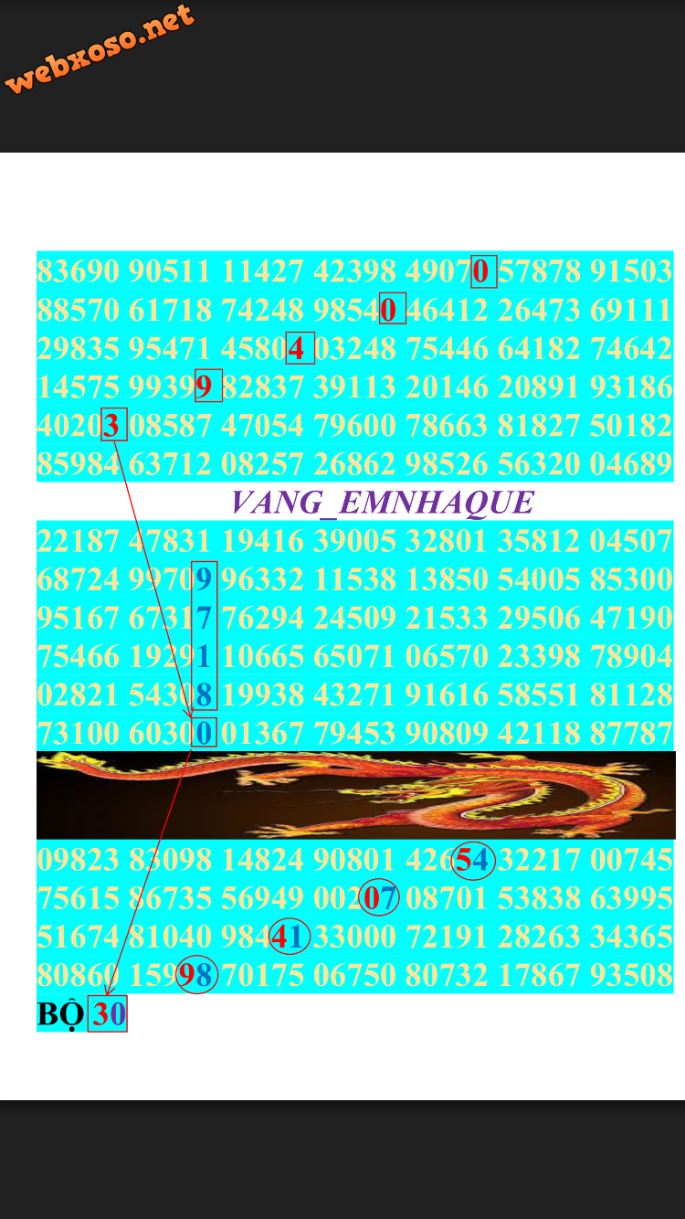 IMG_9487.PNG