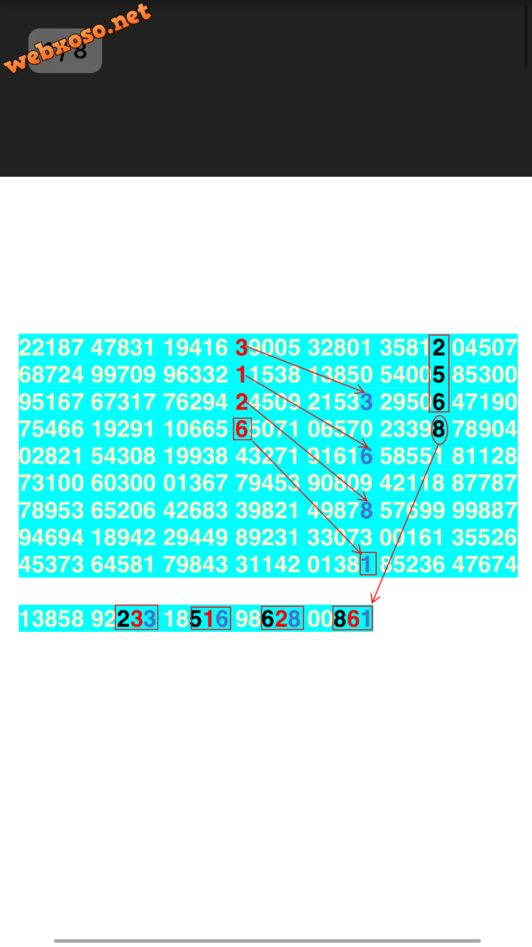 IMG_9504.PNG