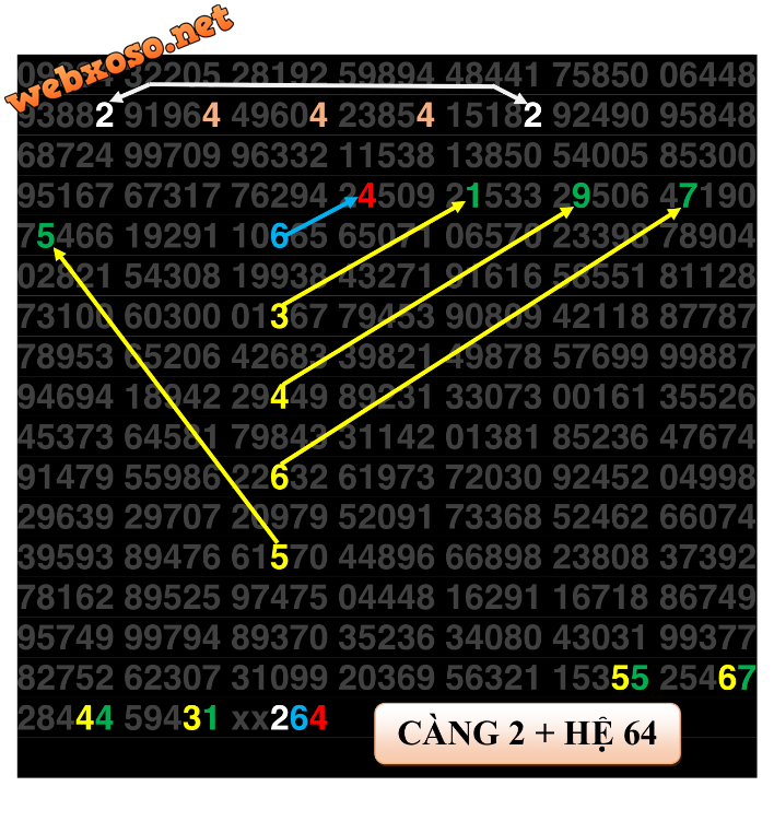 IMG_9844.PNG