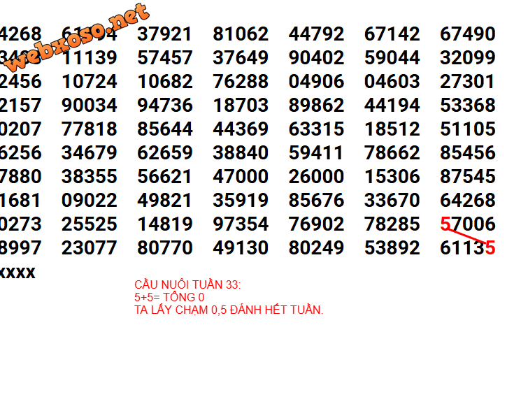 NGÀY 11-8888.png