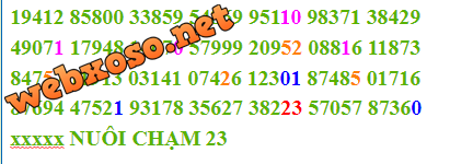 Nuo-chạm23.PNG