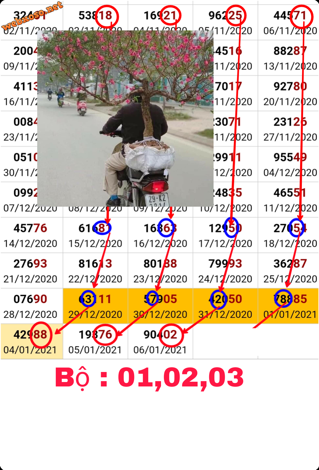 PicsArt_01-07-12.07.48.png
