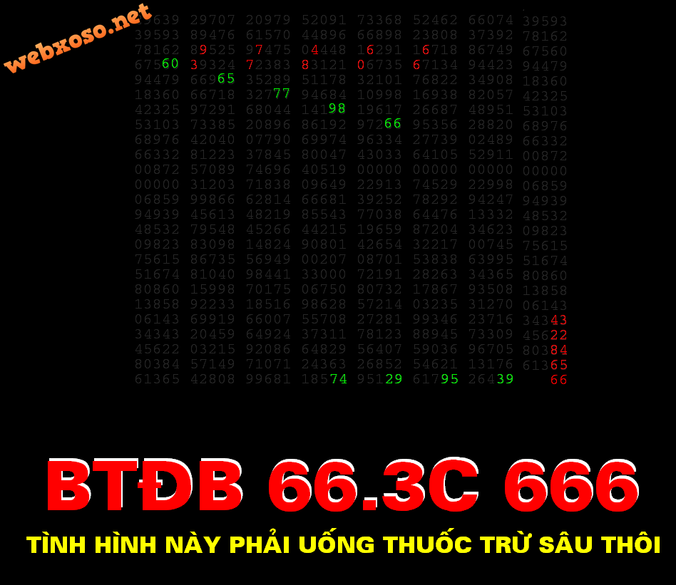san29 (1).png