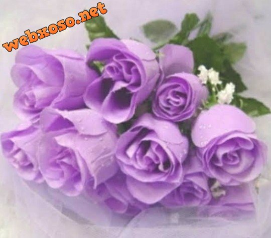 Screenshot_20210723-204209.jpg