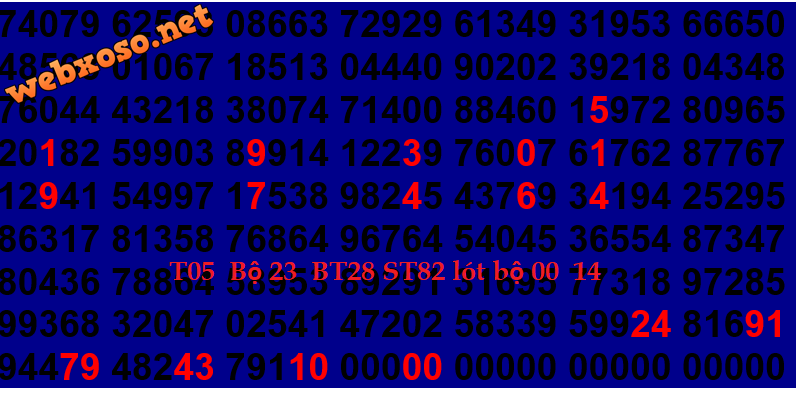 TỔNG  05   MB.png
