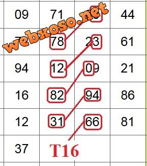 T16.jpg