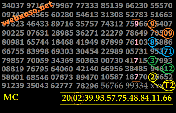 T2.png