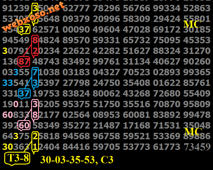 T38.png