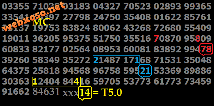 T5 -14.png