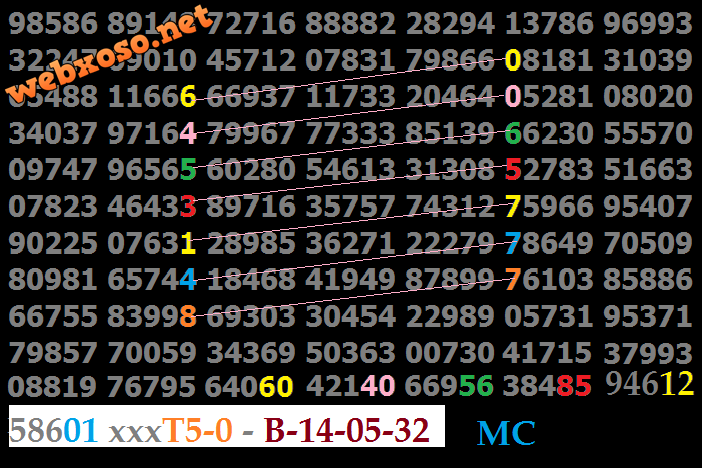 T5.png